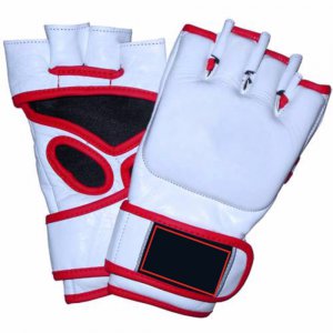 MMA Gloves